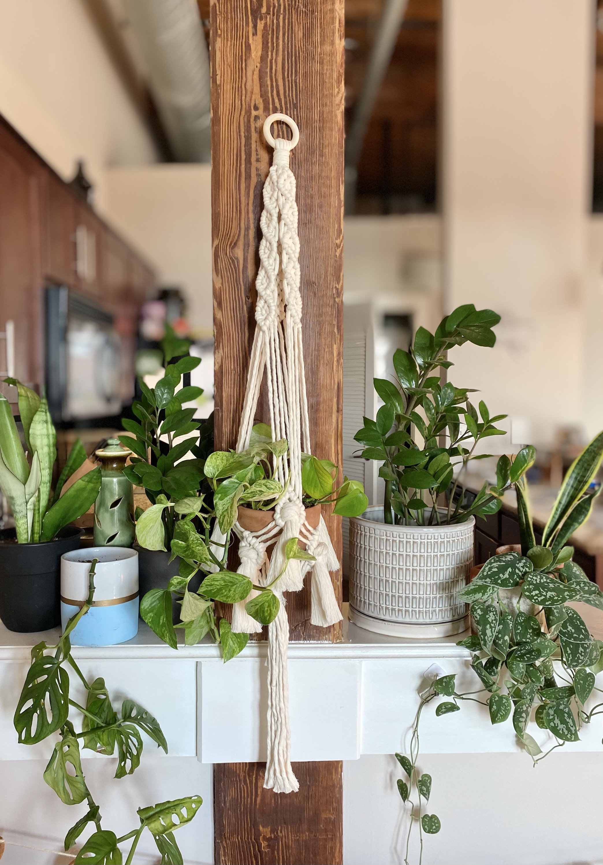 Long Macrame Tassel Plant Hanger | Large Natural Indoor Fringe Hanging  Planter - Etsy