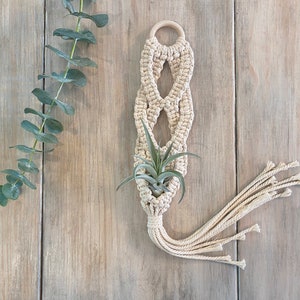 Macrame Air Plant Hanger | Natural Indoor Hanging Planter