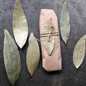 May include: A brown paper package tied with twine and decorated with dried bay leaves. The package is surrounded by additional bay leaves on a gray background.