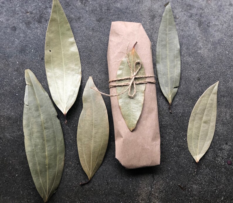 May include: A brown paper package tied with twine and decorated with dried bay leaves. The package is surrounded by additional bay leaves on a gray background.
