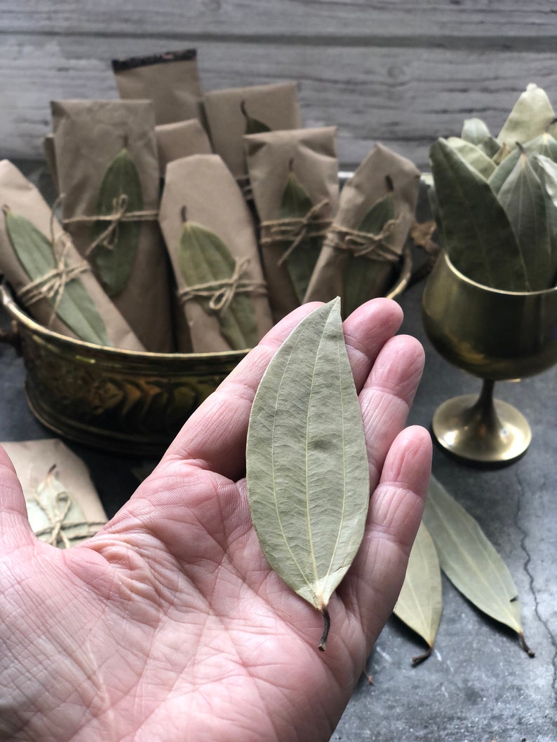 May include: A single dried bay leaf held in a hand, with a bowl of wrapped bay leaves in the background. The leaves are a light green color and have a slightly brown tint.