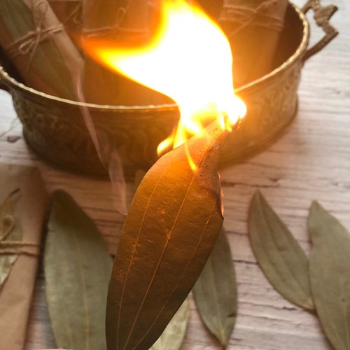 Feuilles de laurier pour encens et prise d'intention