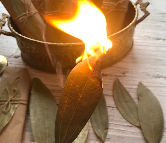 Bay leaves for incense and intention setting