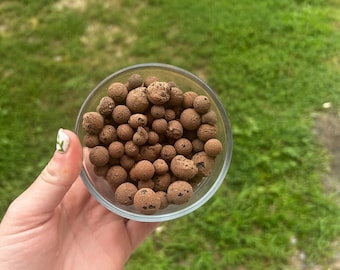 May include: A clear glass bowl filled with brown, spherical clay pebbles. The bowl is held in a hand with a painted fingernail, set against a backdrop of green grass and foliage. These pebbles are often used in hydroponics and gardening.
