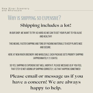 May include: A cream-colored graphic with text from New River Greenery and Wholesale. The text explains why shipping costs are high, including priority shipping and packing materials to ensure plants arrive alive and healthy. It encourages customers to contact them with concerns.