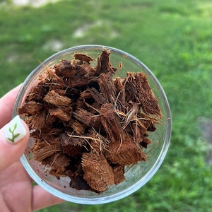 May include: A clear glass bowl filled with brown coconut coir. The coir is coarse and shredded, with a natural, earthy appearance. The background is blurred green grass.
