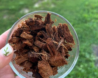 Coconut Coir Husk Chips, Sustainable Soil Amendment, Terrarium Substrate