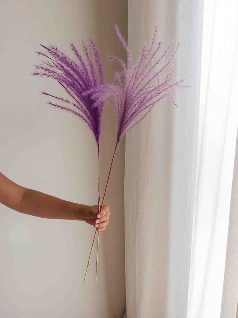 Alpenveilchen  Was Ist Nach Der Blte Zu Tun Gartenjournal