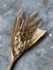 Nature Dried flowers bouquet in natural tones Light brown | Lagurus, dried flowers | Scandi Natural Brown Bouquet | Brown Driedflowers Bundle 