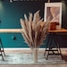 Natural coloured, extra high, graceful pampas grass, high pampas grass decoration, dried reeds dried flowers single, grey beige pampers grass