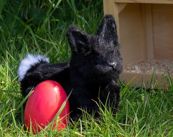 Shin - Lapin noir, Poupée d’art Poseable