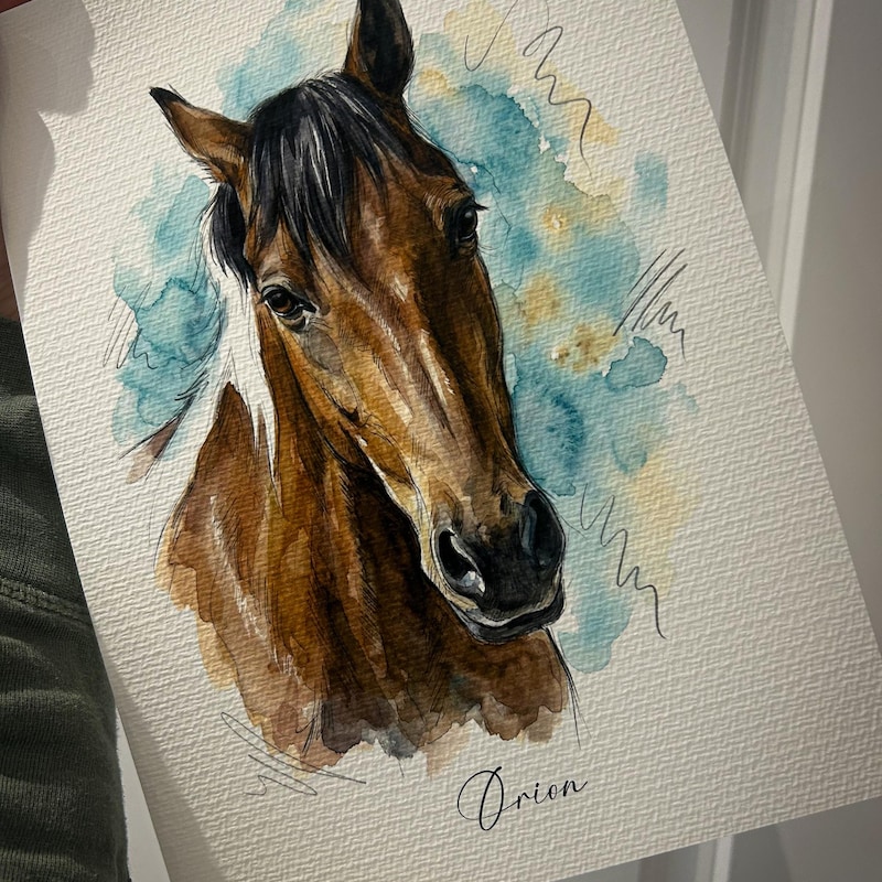 Horse Drawings - Etsy UK
