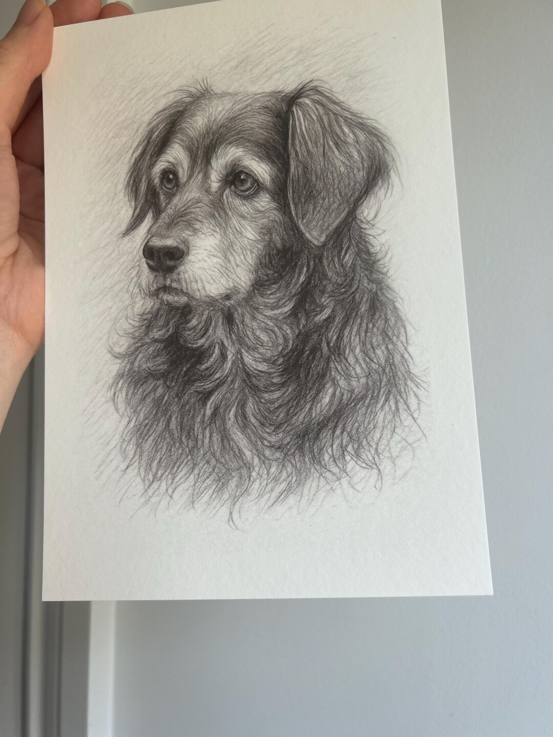 Custom Dog Pencil Portrait – Hand-drawn Pet Sketch Print - Etsy