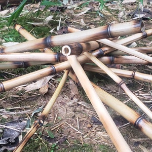 natural bamboo sticks for vivarium tank cage reptile climbing decor, snakes, lizards, geckos, frogs, chameleons, birds and insect pets, USA