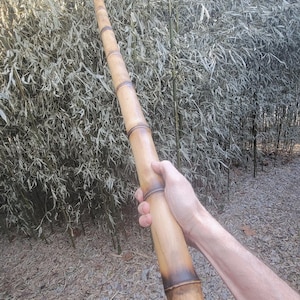 May include: A set of three ceramic mugs with a speckled, matte finish. The mugs are in shades of cream, light gray, and dark gray. Each mug has a simple, minimalist design, perfect for coffee or tea.