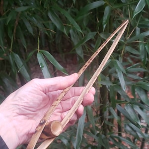 Long reach feeding tongs for reptiles, birds, and fish. Natural organic bamboo 15&quot; cleaning tweezers for vivarium pets. Planet friendly USA.