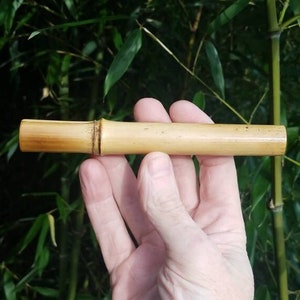 May include: A close-up of a natural, light brown bamboo tube. The tube is smooth and has a slightly rough texture. It is held in a hand against a background of green bamboo stalks.