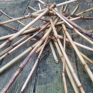 bamboo sticks for diy crafts, home improvement or garden projects. 14"- 25" long flamed natural organic rods,  cool hippie art supplies, USA