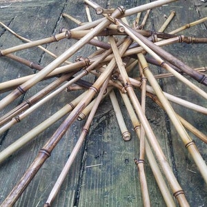 Natural Thick Bamboo Stakes 2.5 Feet Tall About Half Inch Diameter - Pack  of 8 (Natural Yellow)