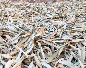 bamboo leaves substrate bedding, superior vivarium terrarium or black water bioactive botanical aquarium natural leaf, zen USA organic grown