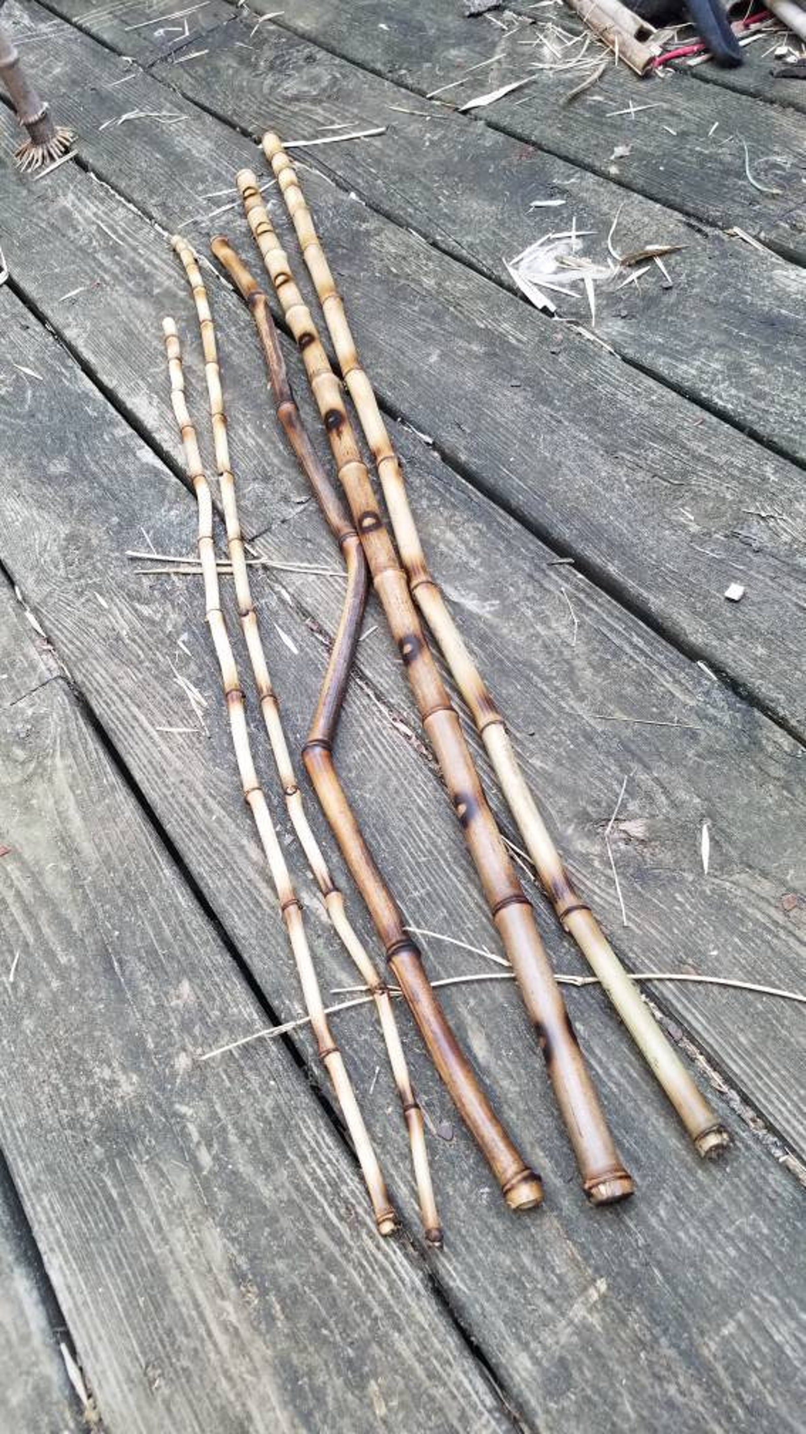 5 Decorative Organic Bamboo Sticks Currated Natural Vase Etsy UK