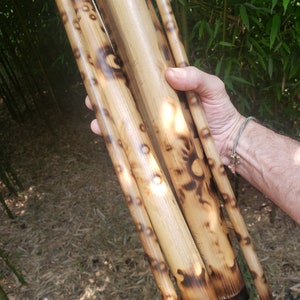 May include: A wind chime constructed from multiple cylindrical bamboo tubes of varying lengths. Each tube features a natural light tan finish with dark brown, scorched circular markings and patterns. The tubes are suspended by thin white cords.