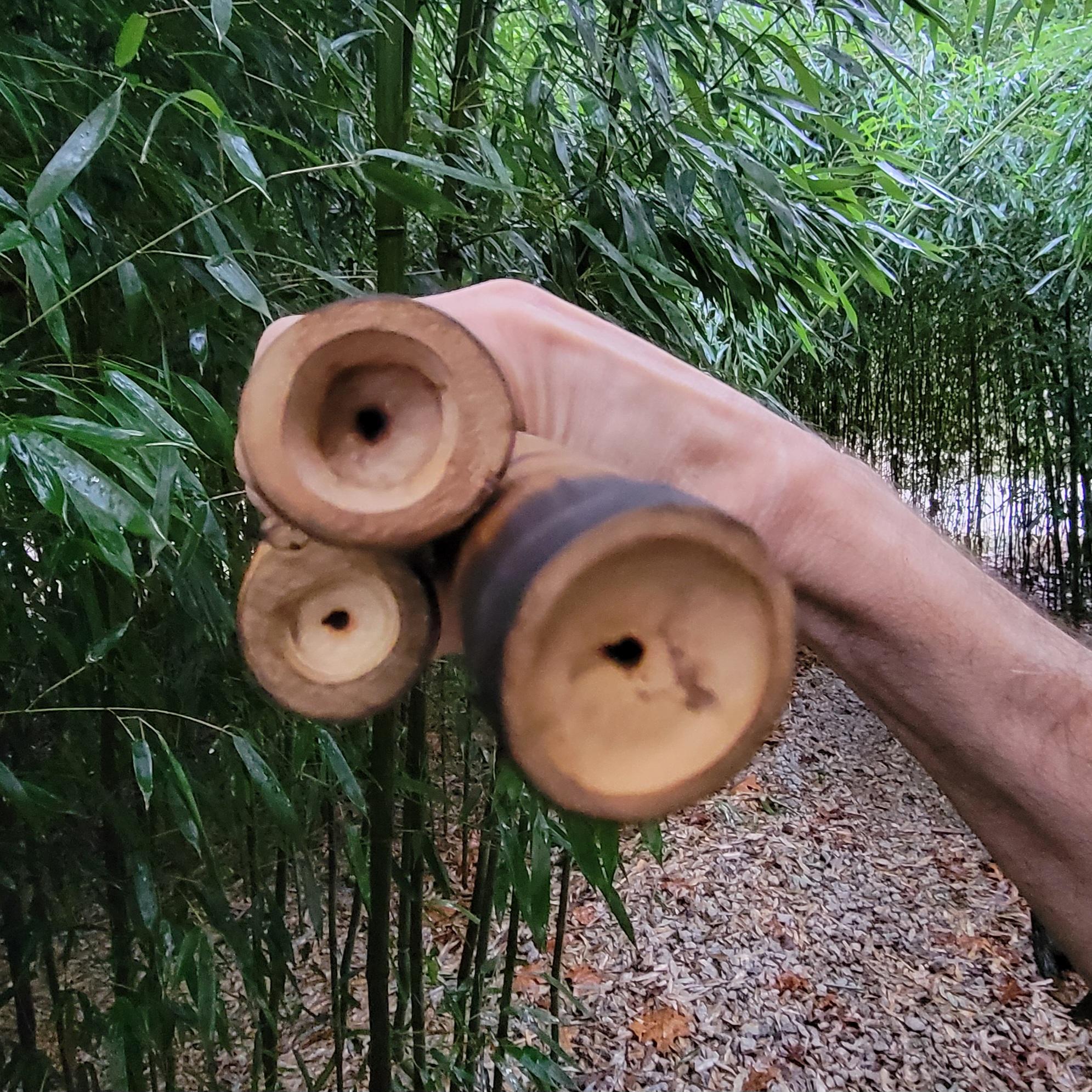 Blow Pipe Fire Stoker, Bamboo Hifukitake / Fukidake, Natural