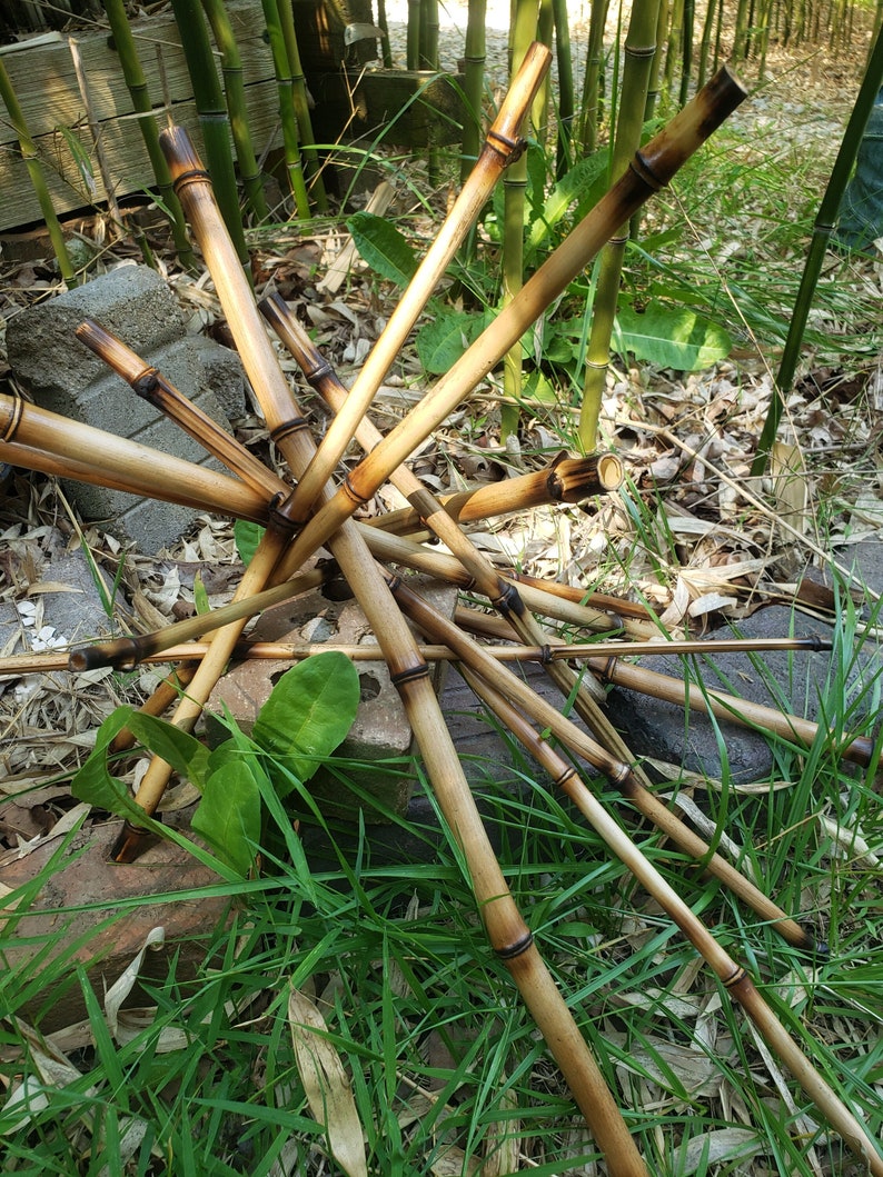 Op de afbeelding: Een groep bruine bamboestokken die in een stervormig patroon op een bed van groen gras zijn gerangschikt. De stokken zijn natuurlijk en hebben een ruwe textuur.
