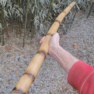 May include: A long, cylindrical bamboo pole with a natural, light brown color and darker brown bands. The bamboo is held in a person's hand, with a red sleeve visible in the frame. The background features bamboo plants and gravel.