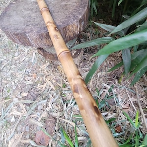 May include: A long, cylindrical bamboo pole with a smooth, light brown finish and natural dark brown nodes. The pole features a hollow, open end with a dark charred ring detail at the base, showcasing the organic texture and grain of the wood.