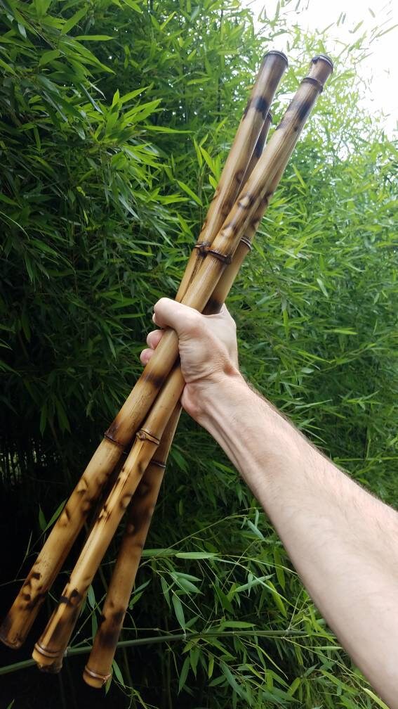 4 decorative organic bamboo sticks bespoke vase filler tribal Etsy