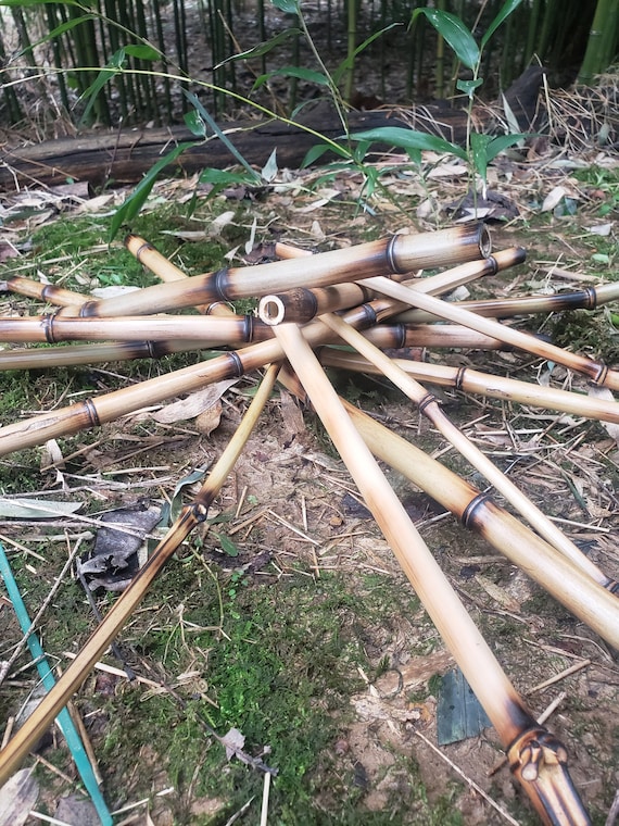 natural bamboo sticks for vivarium tank cage reptile climbing decor, snakes, lizards, geckos, frogs, chameleons, birds and insect pets, USA