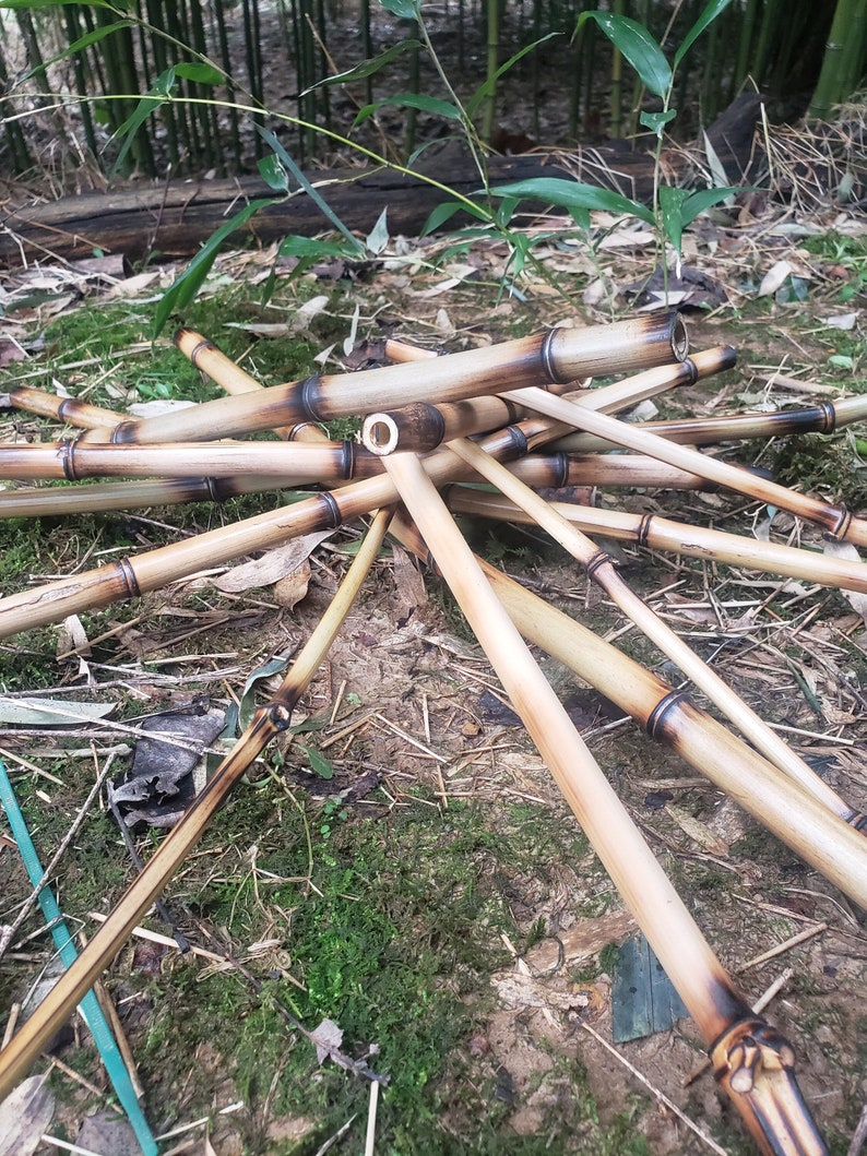 Op de afbeelding: Een stapel natuurlijke bamboestokken, waarvan sommige verbrand zijn, zijn in een stervormige vorm op een bed van mos en aarde gerangschikt.