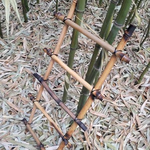 bamboo ladder, DIY natural climbing decor kit for reptiles, lizards, frogs, snakes, gecko, and small pets, tank or cage, 24" or 40" USA made image 4