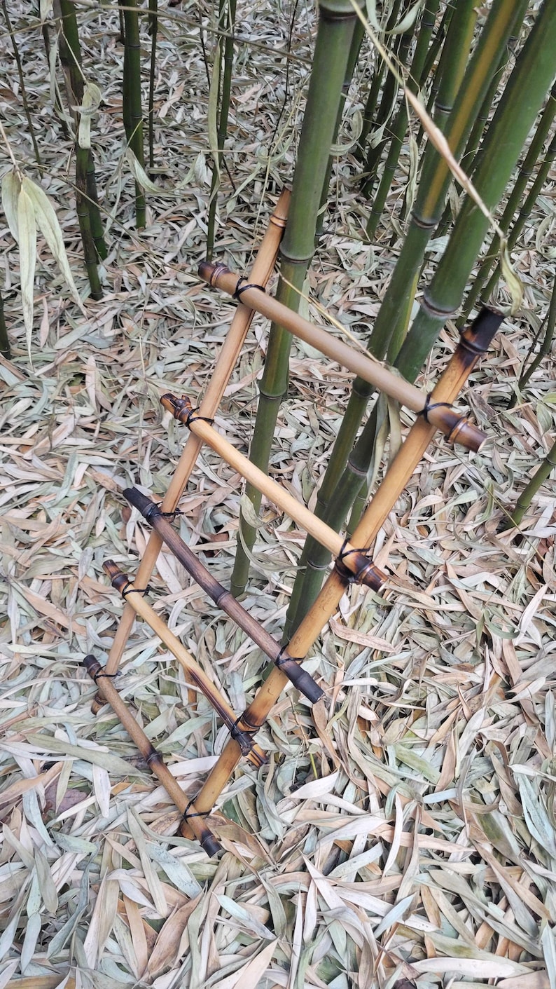 bamboo ladder, DIY natural climbing decor kit for reptiles, lizards, frogs, snakes, gecko, and small pets, tank or cage, 24" or 40" USA made image 4