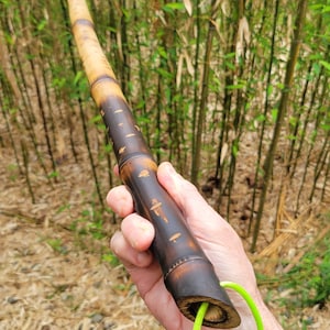 May include: A handcrafted bamboo walking stick with a dark brown, etched design. The top portion is a lighter tan color. A bright green cord is attached to the bottom. The background is a bamboo forest.