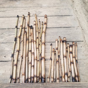 12 natural bamboo reptile sticks for vivarium tank cage climbing decor. snakes, lizards, geckos, beardies, chameleons, birds and insects USA