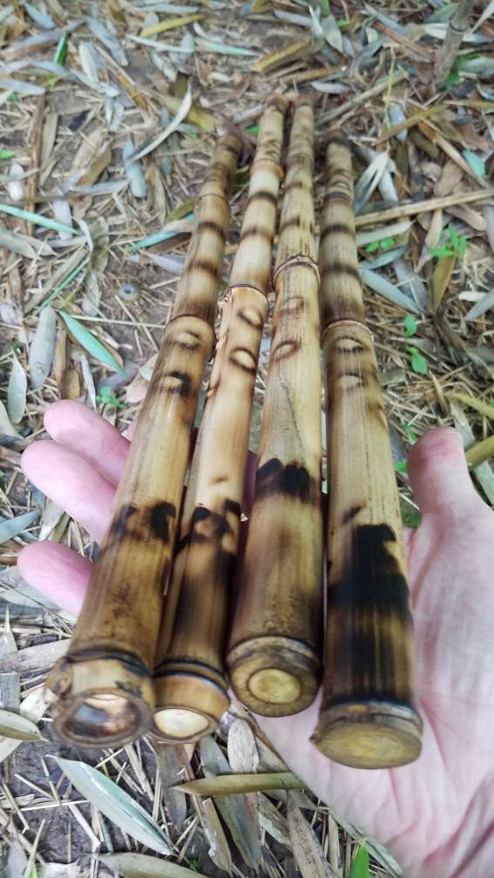4 decorative organic bamboo sticks bespoke vase filler tribal Etsy