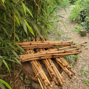 natural bamboo sticks for vivarium tank cage reptile climbing decor, snakes, lizards, geckos, frogs, chameleons, birds and insect pets, USA afbeelding 2
