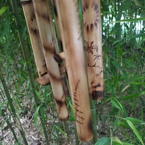 May include: A wind chime constructed from multiple hollow bamboo tubes of varying lengths. The natural tan bamboo features dark, scorched-effect markings and etched illustrations of palm trees and sun motifs on the cylindrical surfaces.