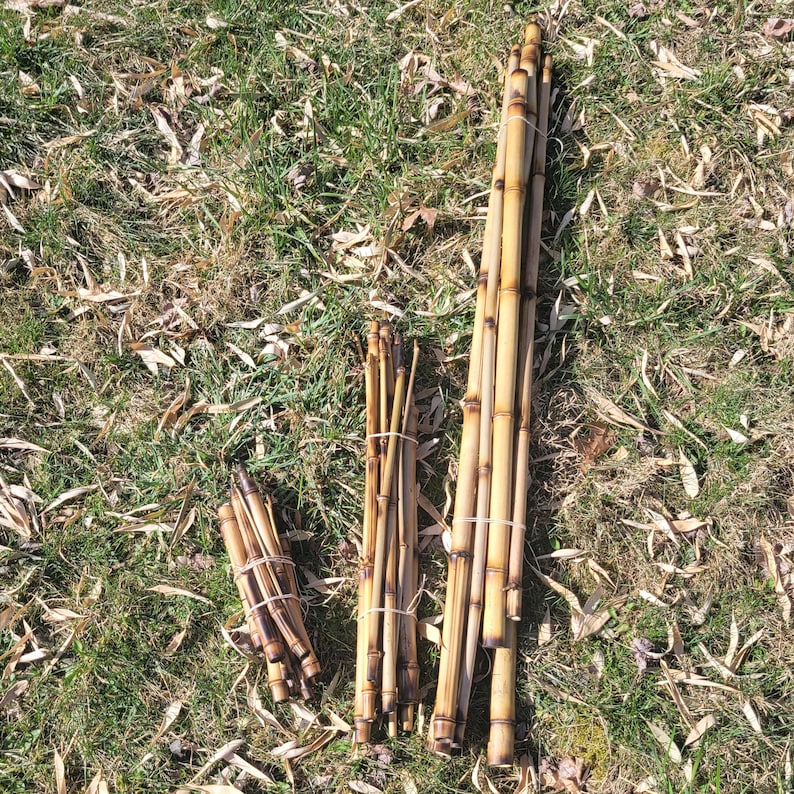 Op de afbeelding: Een bundel natuurlijke bamboestokken, sommige zijn met touw gebonden, andere liggen los. De stokken zijn van verschillende lengtes en liggen op een bed van droog gras.