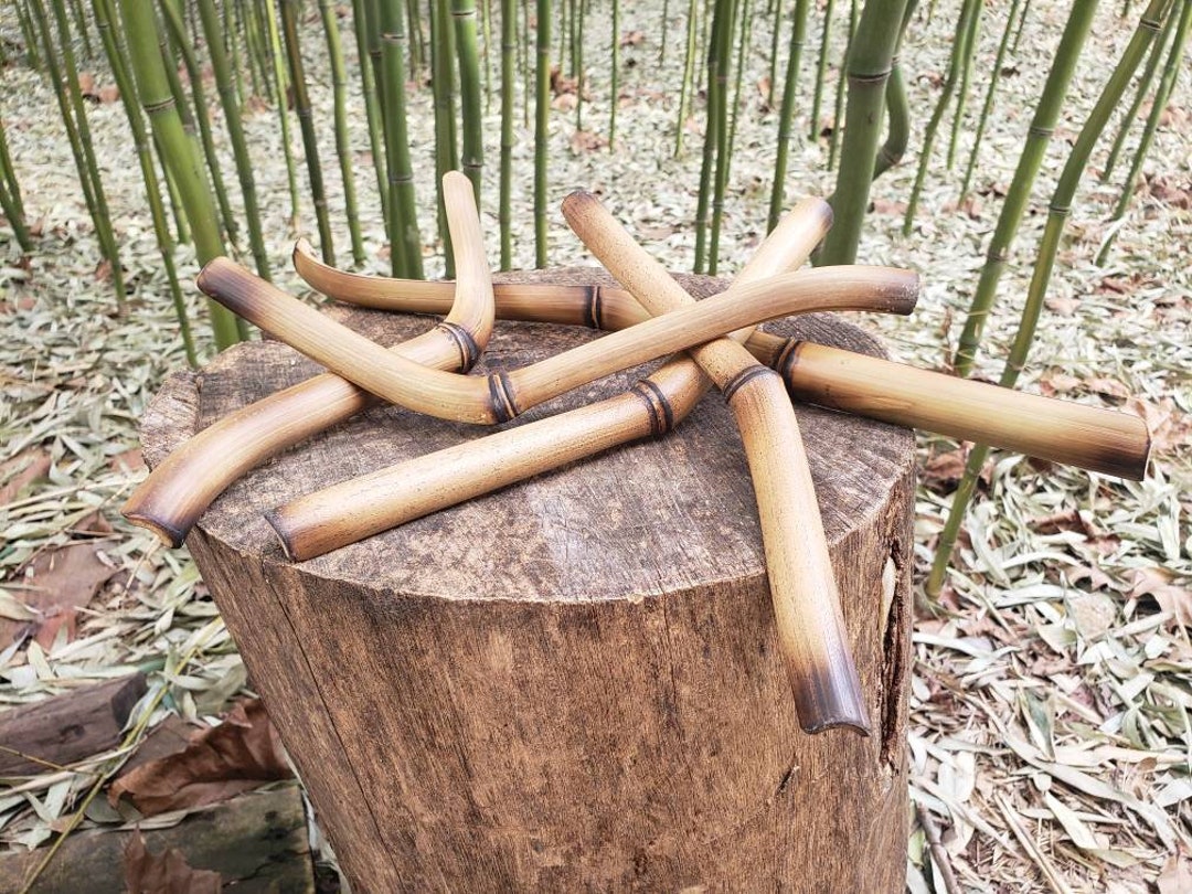 Unusual Tabletop Art of Funky Elegant Bamboo Bent Sticks for Etsy