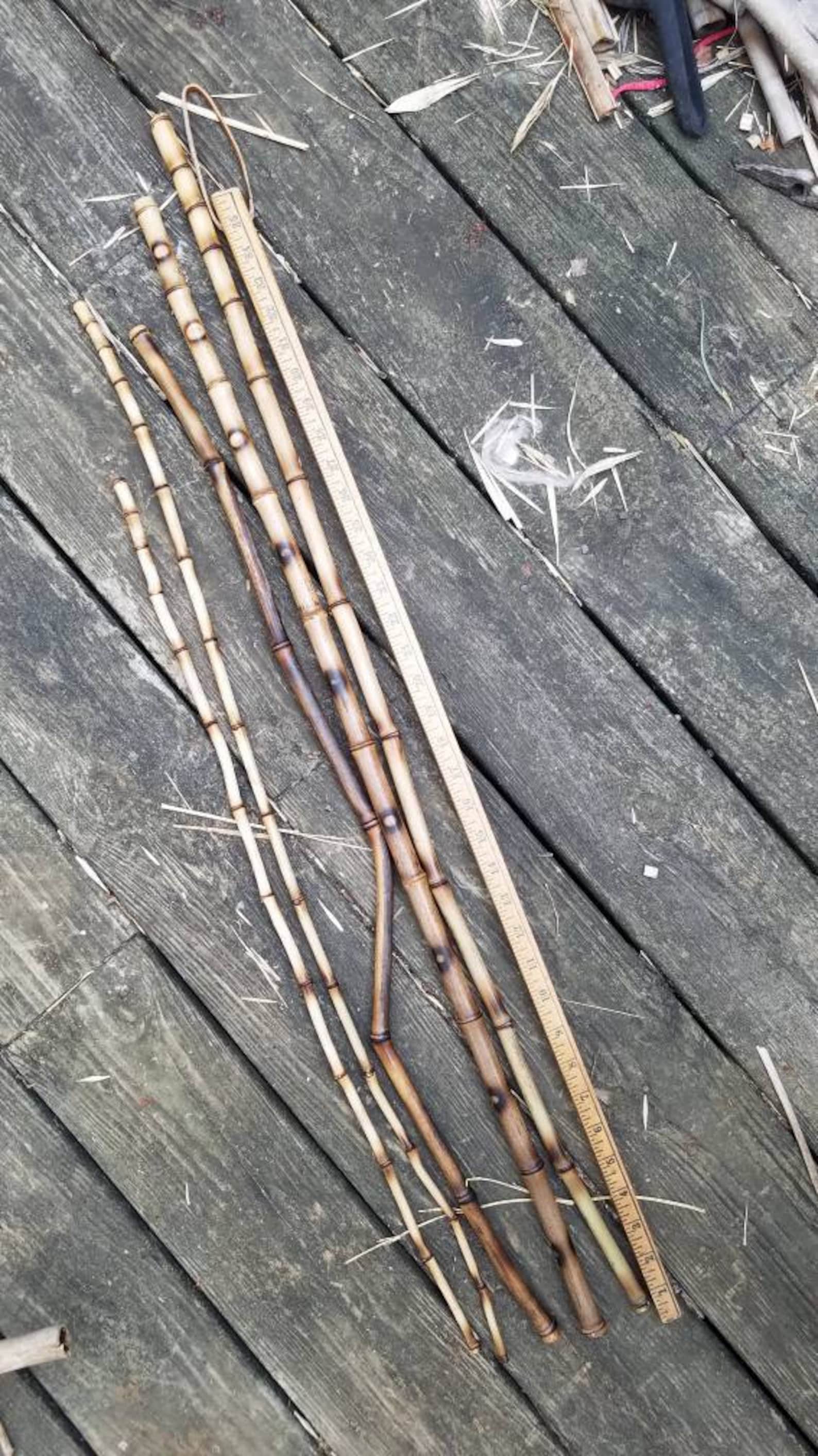 5 Decorative Organic Bamboo Sticks Currated Natural Vase Etsy UK