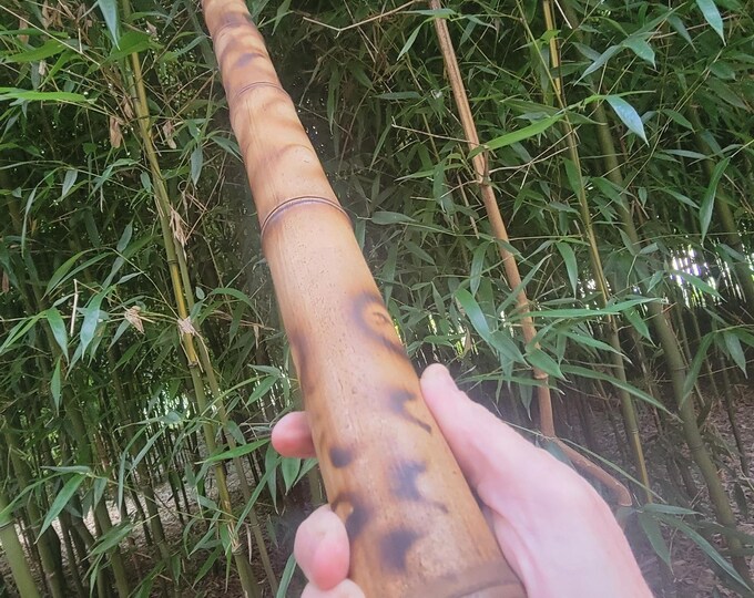 Cool Pyro Art Didge, Beefy Didgeridoo Musical Instrument From Ohio ...