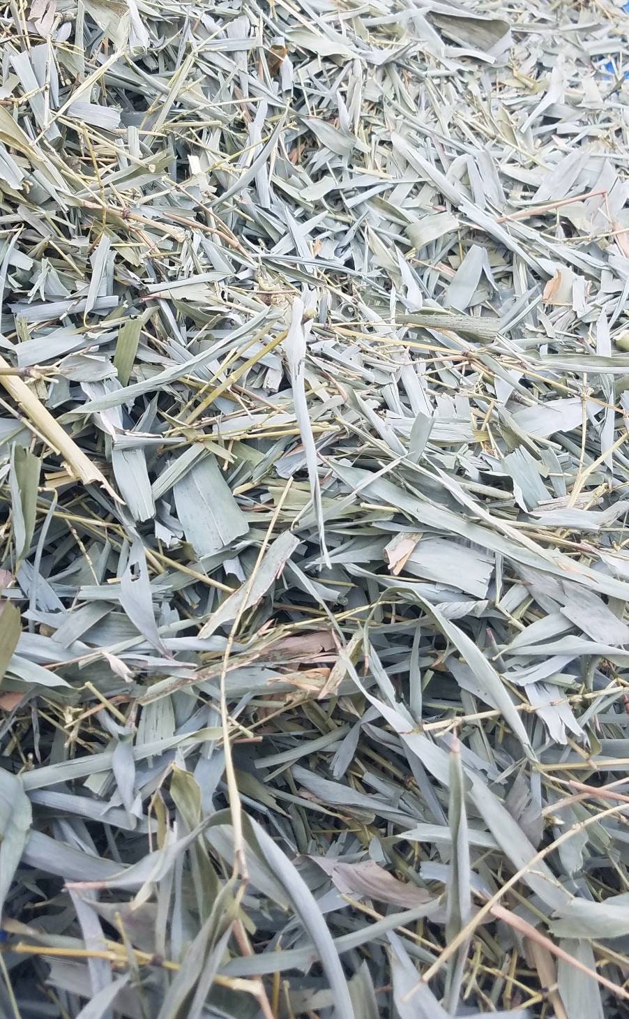 Bamboo mulch superior garden container and potted plants top Etsy