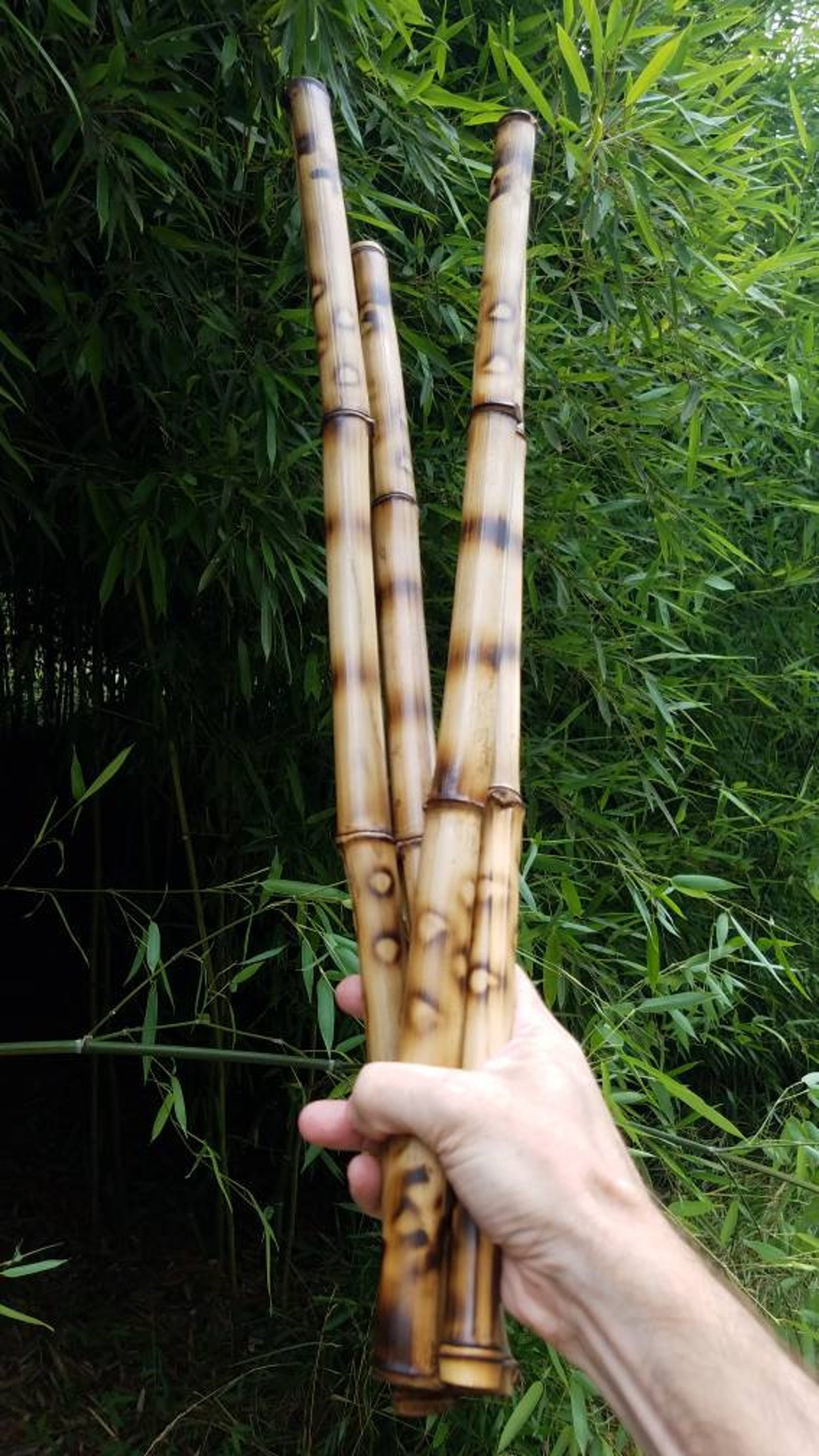 4 decorative organic bamboo sticks bespoke vase filler tribal Etsy