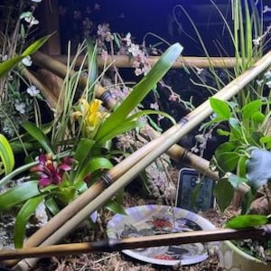 natural bamboo sticks for vivarium tank cage reptile climbing decor, snakes, lizards, geckos, frogs, chameleons, birds and insect pets, USA afbeelding 14