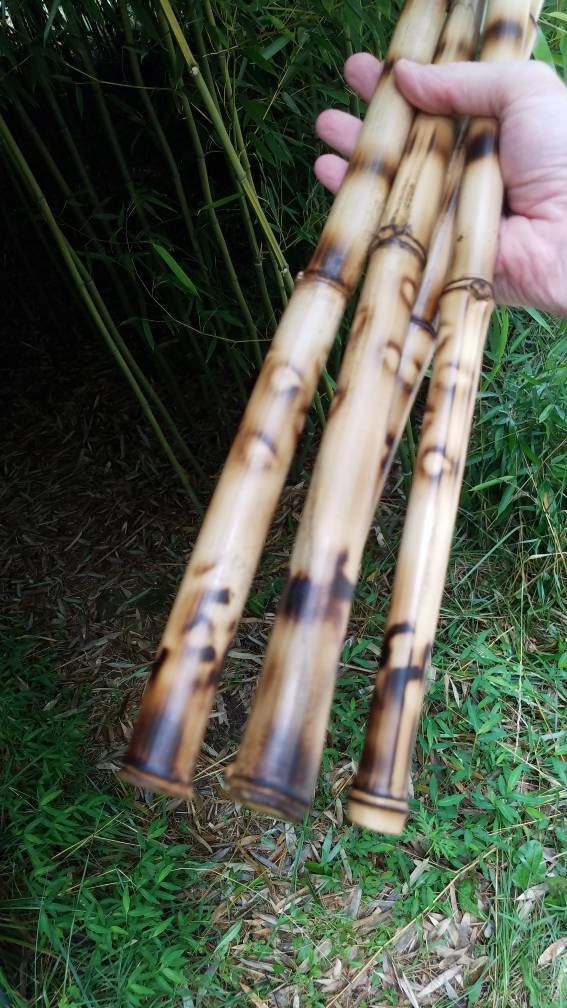 4 decorative organic bamboo sticks bespoke vase filler tribal Etsy