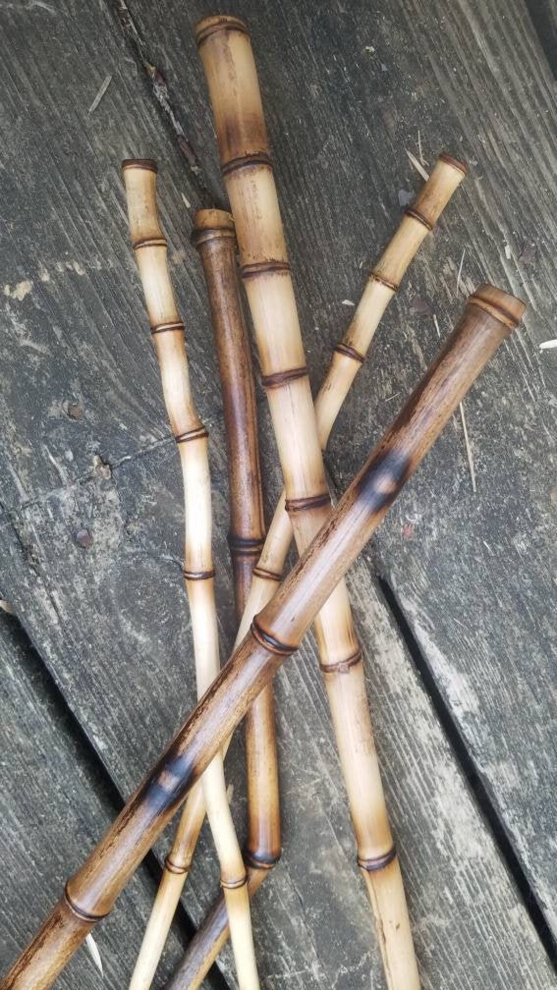5 Decorative Organic Bamboo Sticks Currated Natural Vase Etsy UK