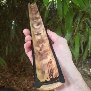 May include: A long, hollow piece of bamboo with a dark brown, almost black, exterior. The inside of the bamboo is light brown and has a natural, slightly rough texture.